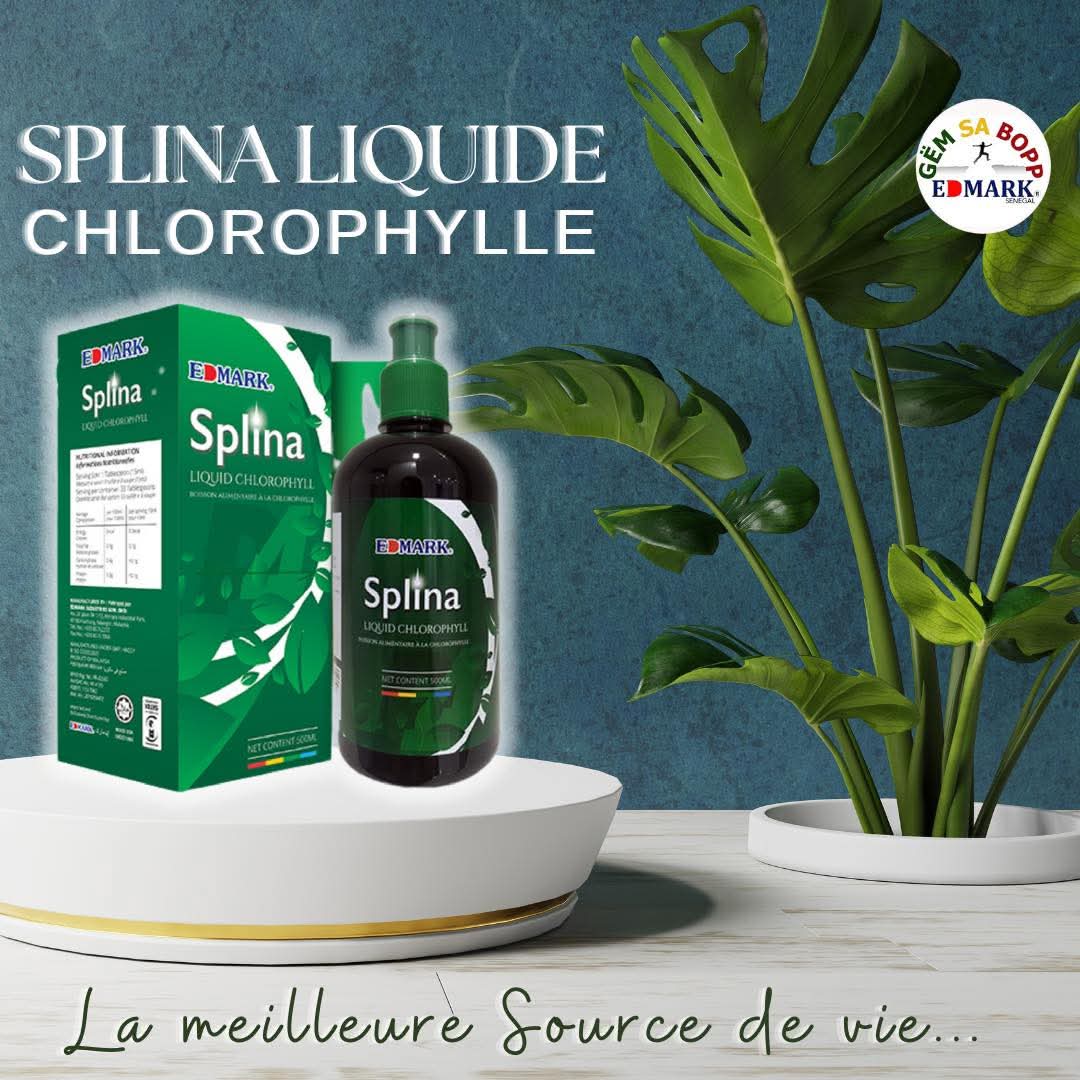 SPLINA LIQUIDE CHLOROPHYLE MEILLEURE BOISSON DE SANTÉ 